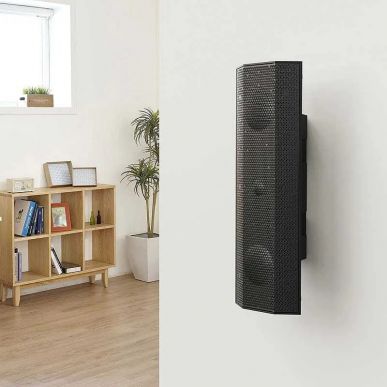 Настенная акустика Lithe Audio IO1 Wi-Fi - WISA - Single black (#06800W)